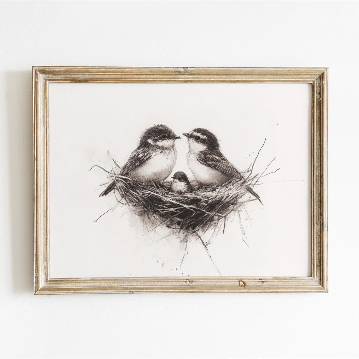 Bird Nest Pencil Sketch, Baby Birds Nursery Art