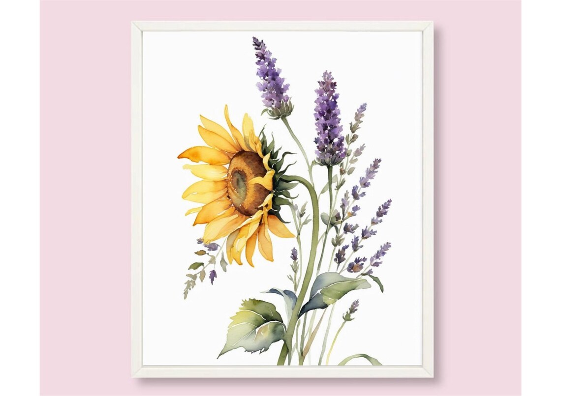 Sunflower With Lavender Sprigs Botanical Watercolor Floral Poster - Image 5