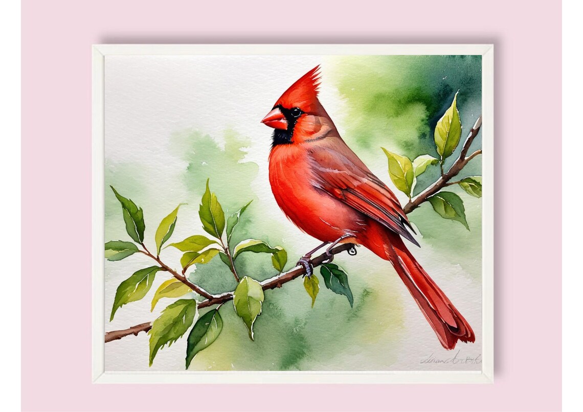 Red Cardinal Watercolor Art Print, Bird on Branch - Image 6