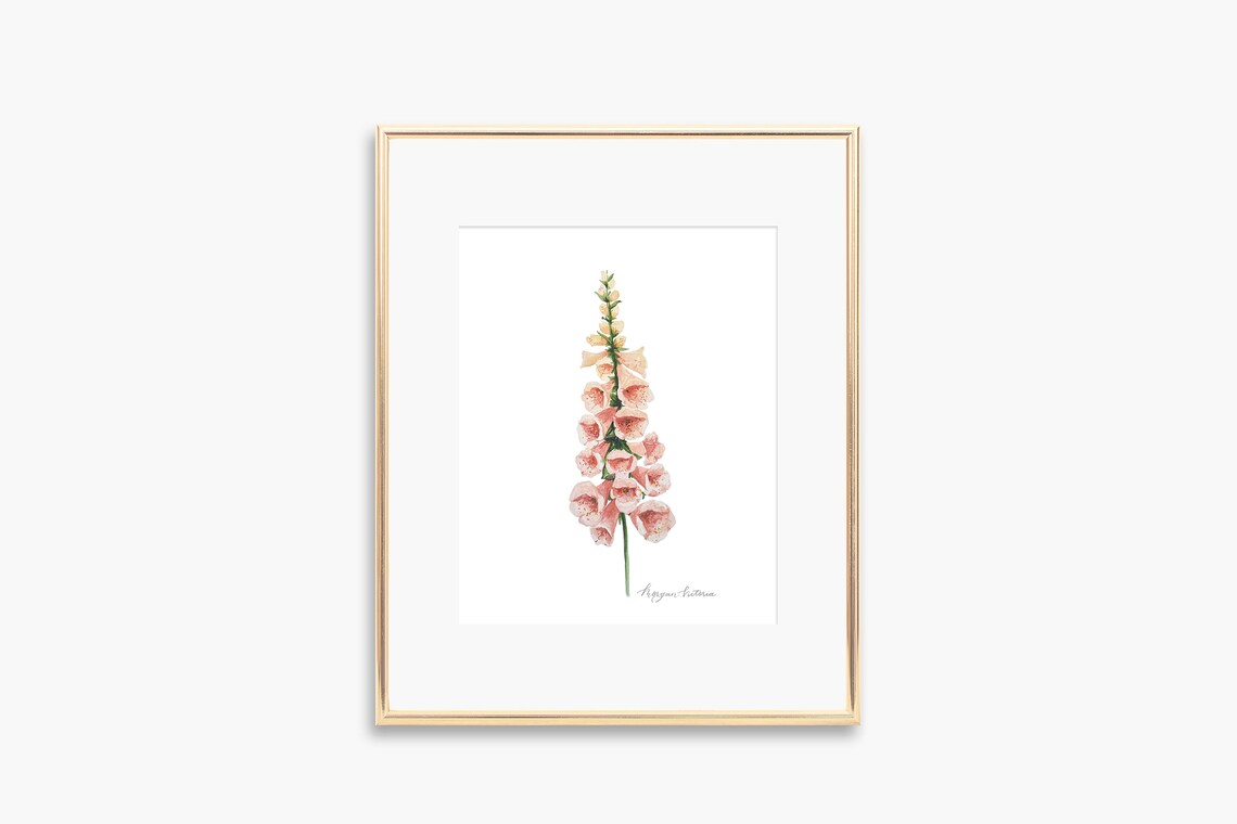 Foxglove Flower Watercolor Art Print, Floral Decor