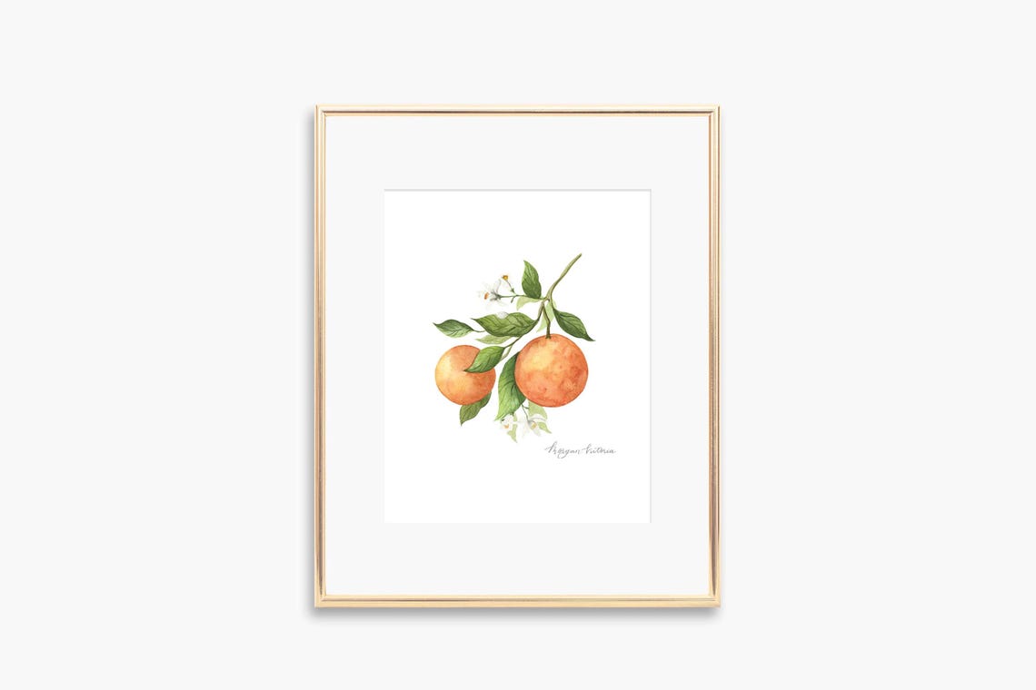 Orange Blossom Watercolor Citrus Branch Blooms Botanical Poster