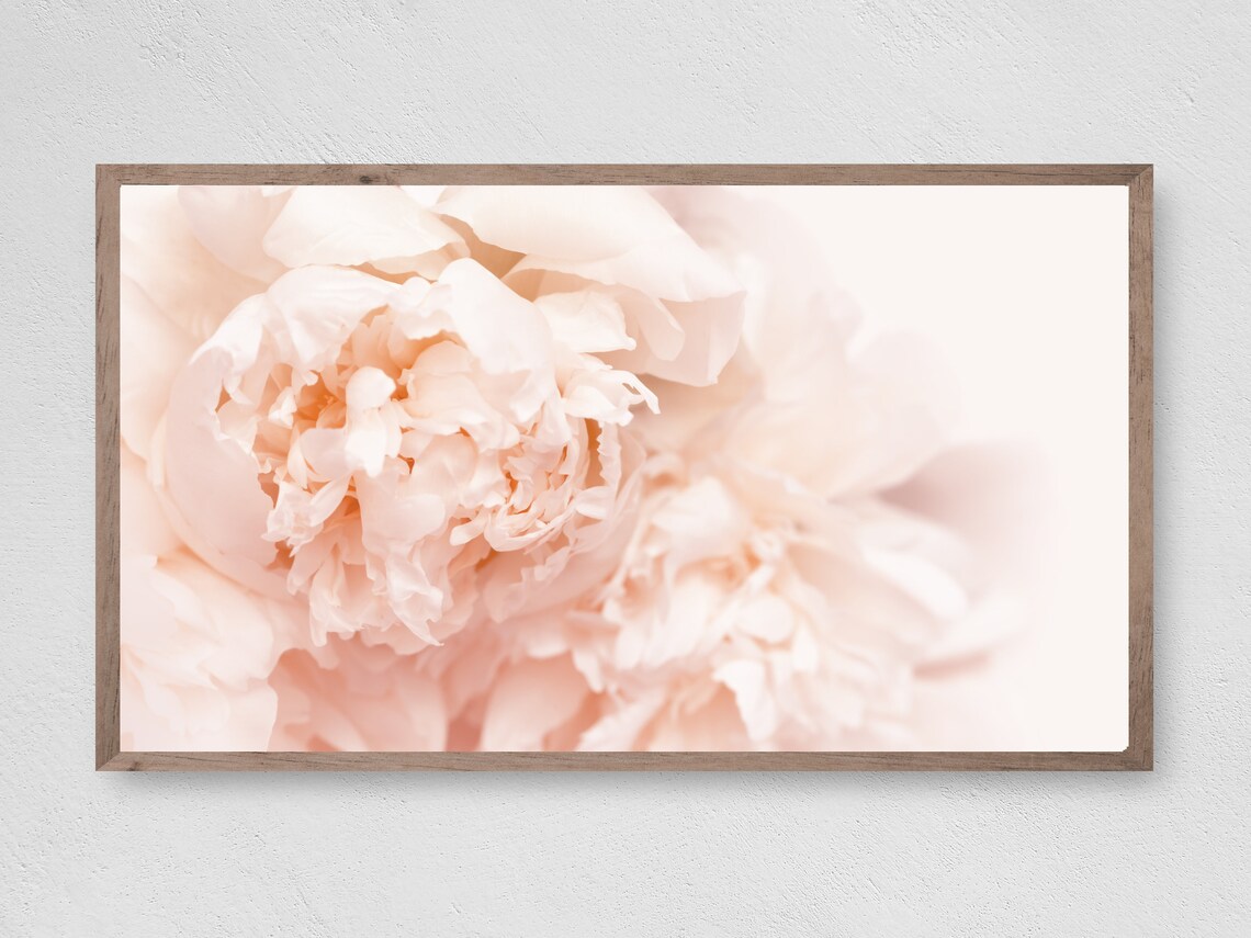 Pale Peony Art Print
