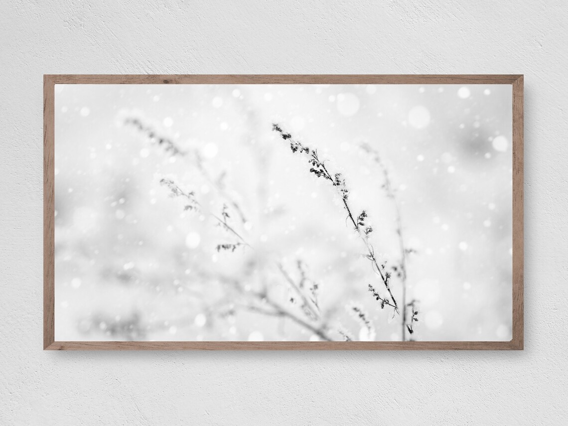 Winter Reeds Christmas Art Print, Seasonal Decor