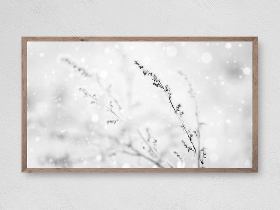 Winter Reeds Christmas Art Print, Seasonal Decor