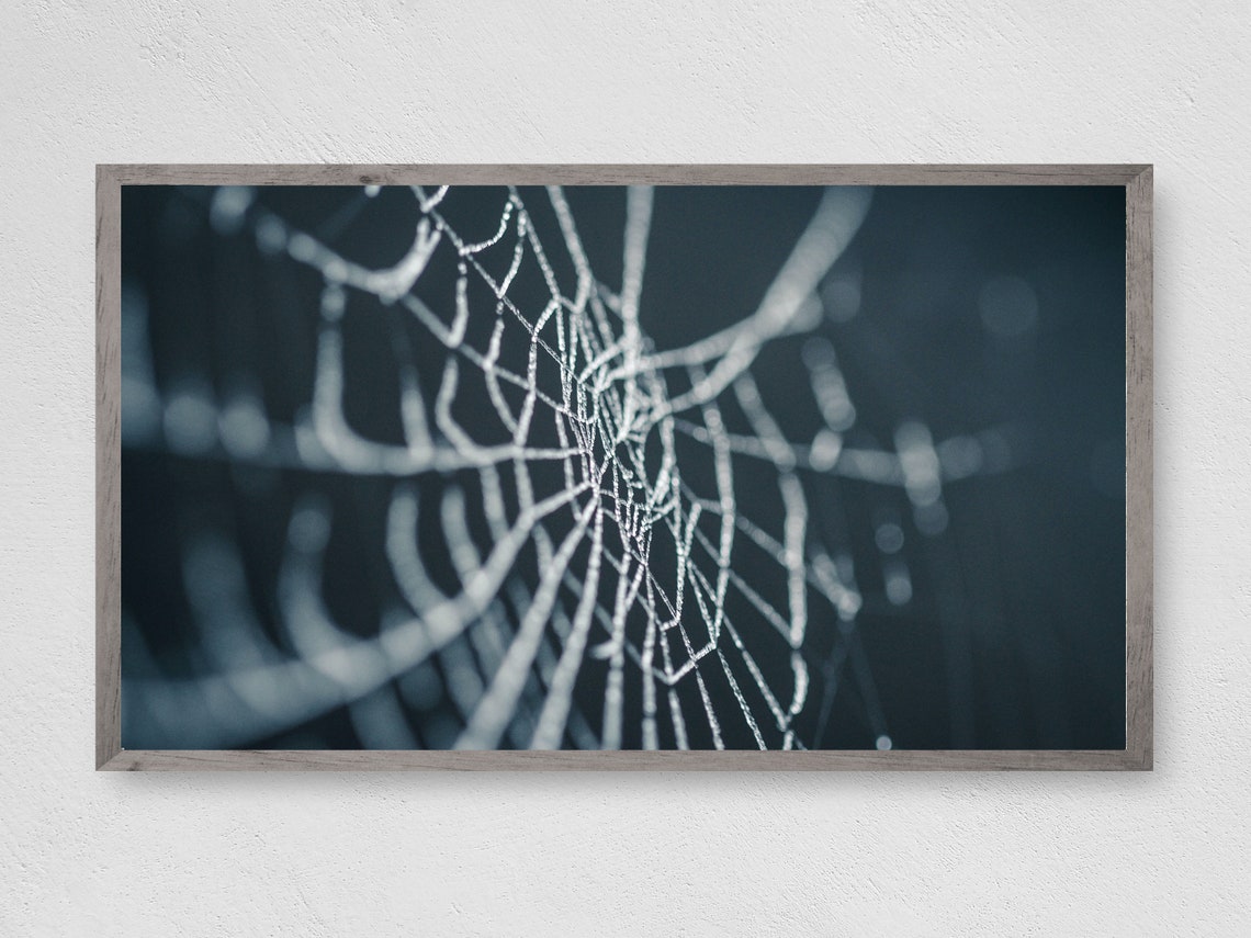 Spider Web Halloween Art Print