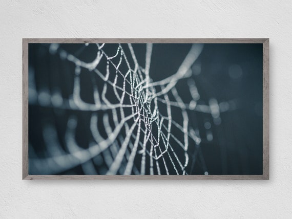 Spider Web Halloween Art Print