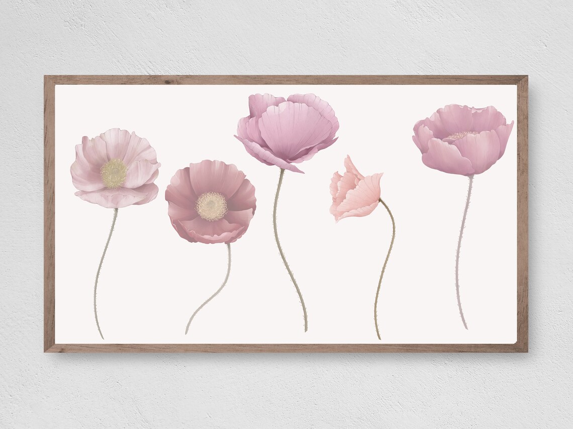 Blush Pink Poppies Minimalist Floral White Background Art Print