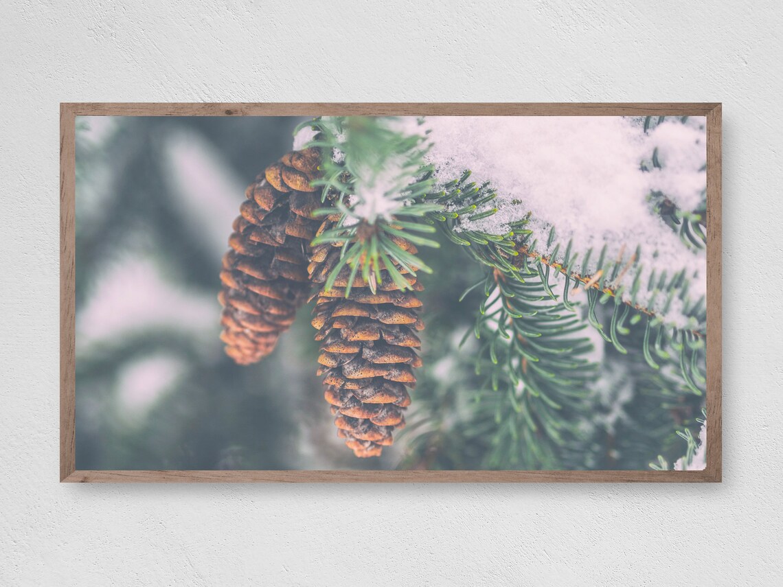 Pinecone Branch Winter Christmas Art Print