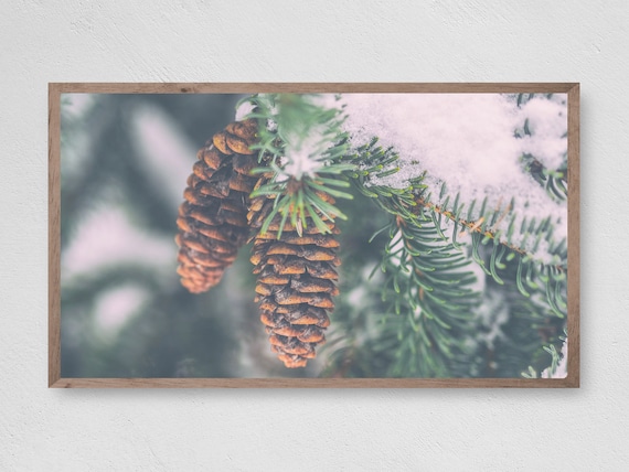Pinecone Branch Winter Christmas Art Print