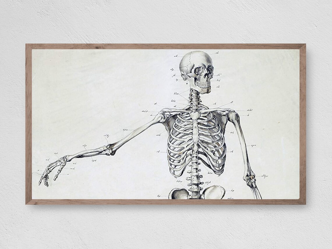 Halloween Vintage Skeleton Art Print, Vintage Decor