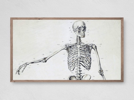 Halloween Vintage Skeleton Art Print, Vintage Decor