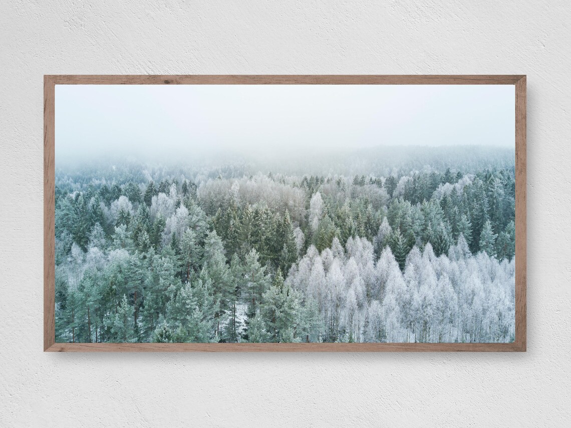 Misty Winter Forest Aerial View Frost Covered Pines Photography Poster