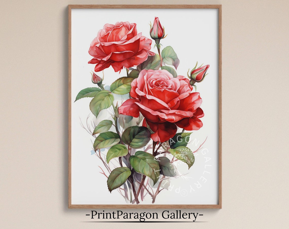 Red and Pink Roses Botanical Watercolor Flower Illustration Poster