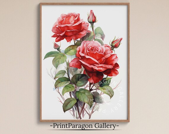 Red and Pink Roses Botanical Watercolor Flower Illustration Poster