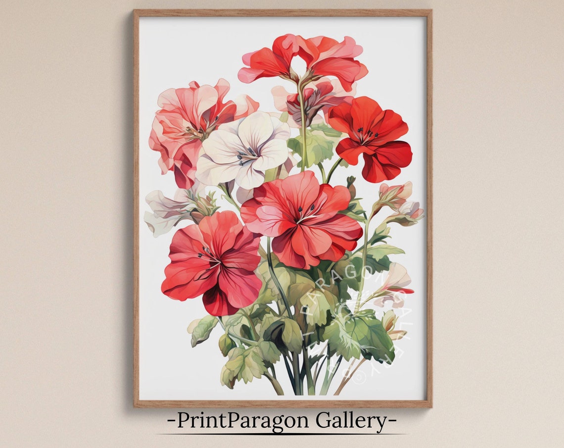 Red Geranium Clusters Fresh Summer Blooms Watercolor Art Poster