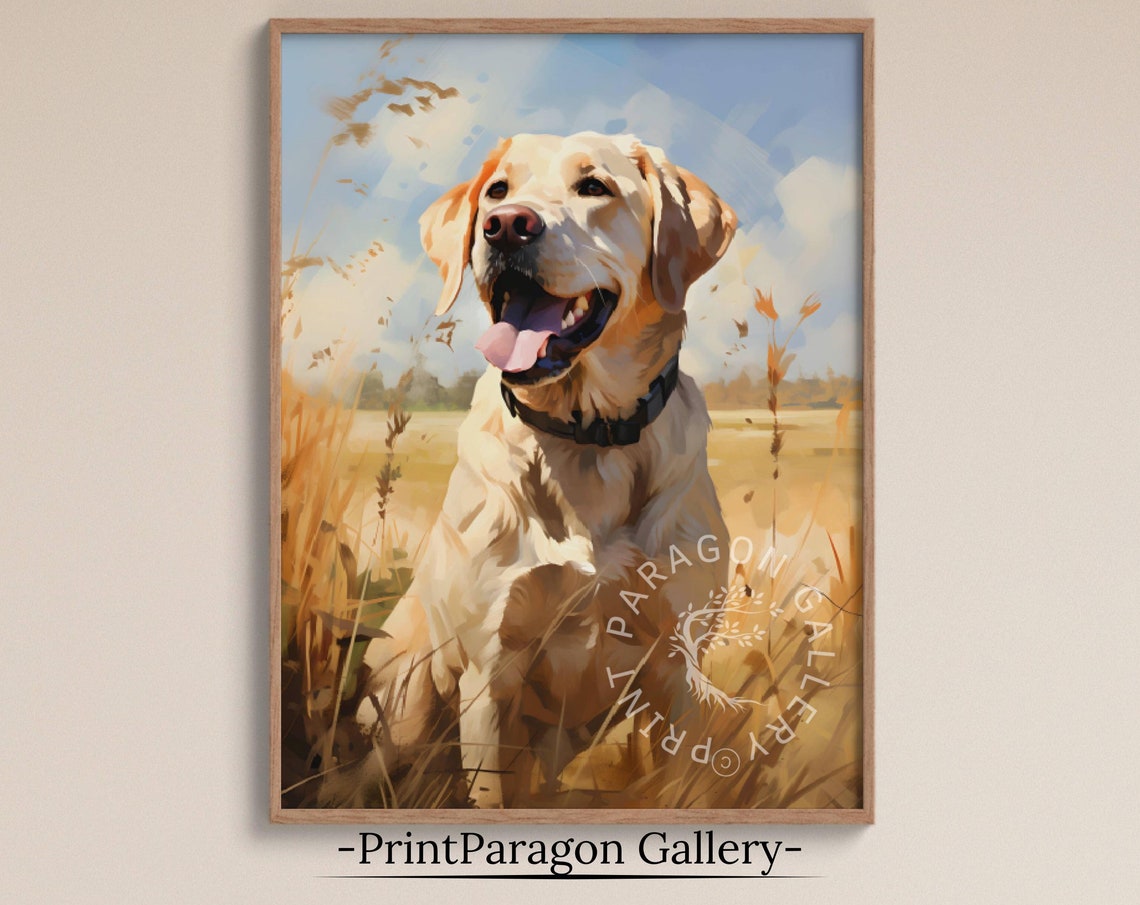 Yellow Labrador Retriever in Wheat Field Sunny Dog Portrait Poster