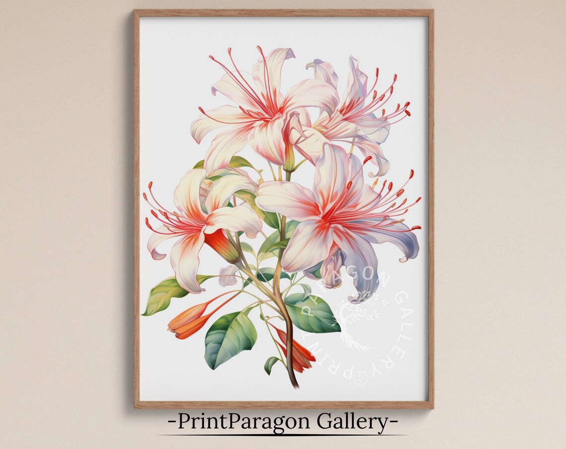Honeysuckle Flowers Zodiac Floral Sketch Art Print