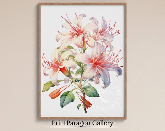 Honeysuckle Flowers Zodiac Floral Sketch Art Print
