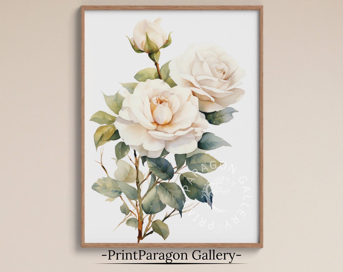 Elegant White Roses Watercolor Fresh Blooms and Buds Art Poster