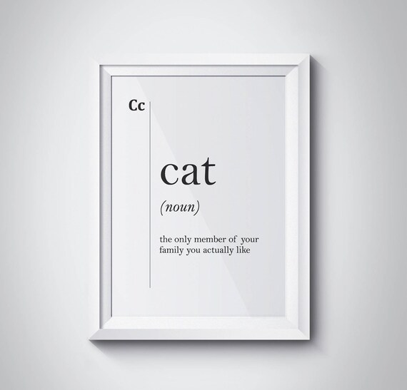 Cat Funny Definition Only Family Member You Actually Like Pet Owner Poster