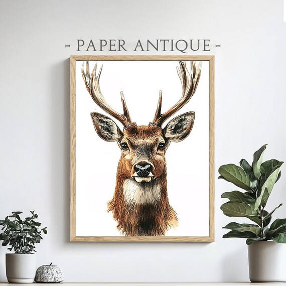 Stag Deer Portrait Rustic Watercolor Wildlife Illustration Poster