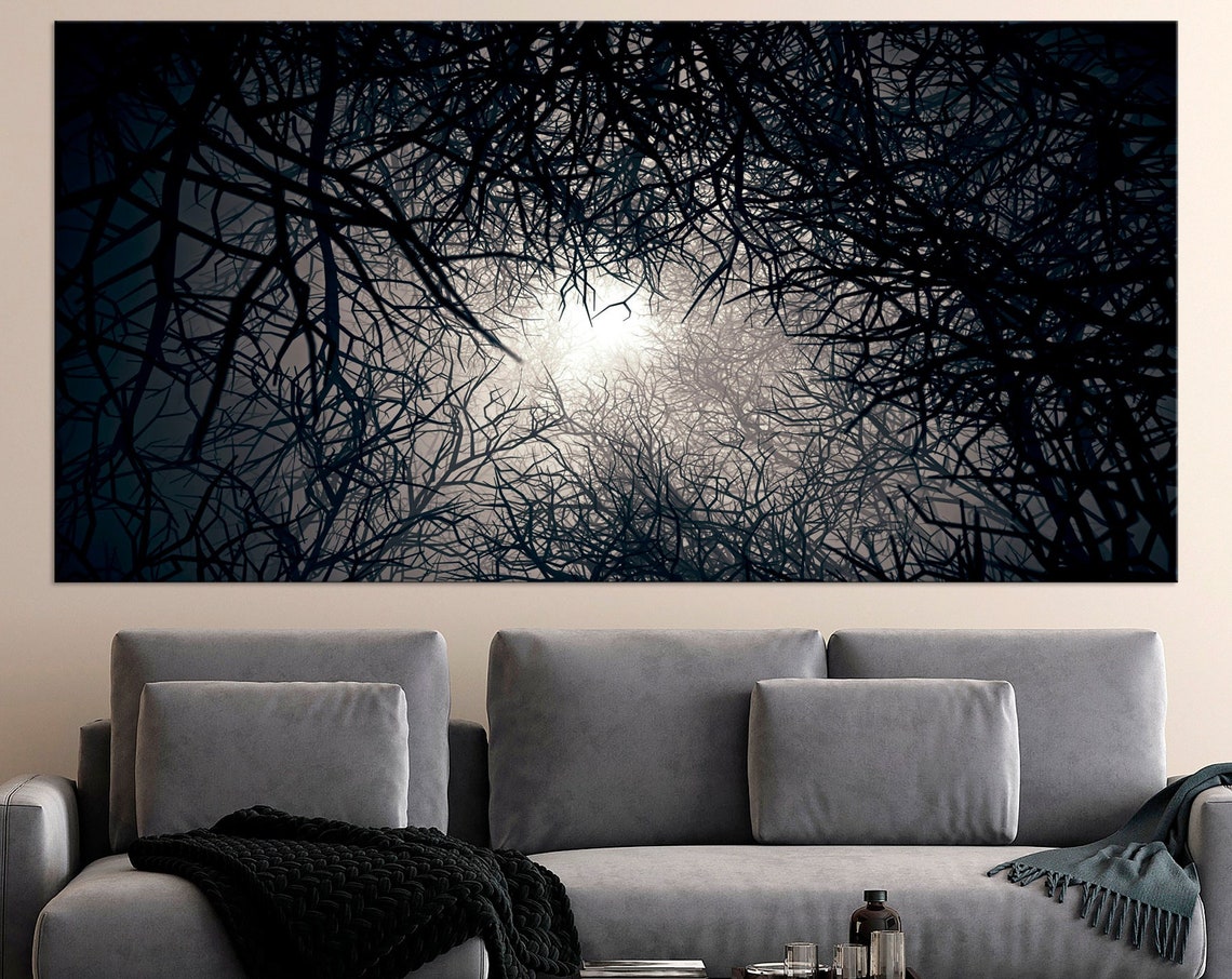 Dark Moody Forest Tangled Branches Moonlit Fog Night Nature Poster