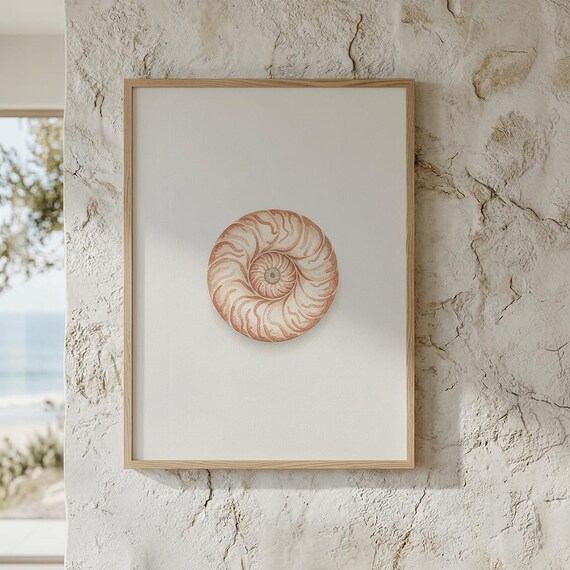 Nautilus Shell Minimalist Cream Beach Coastal Decor Wall Art