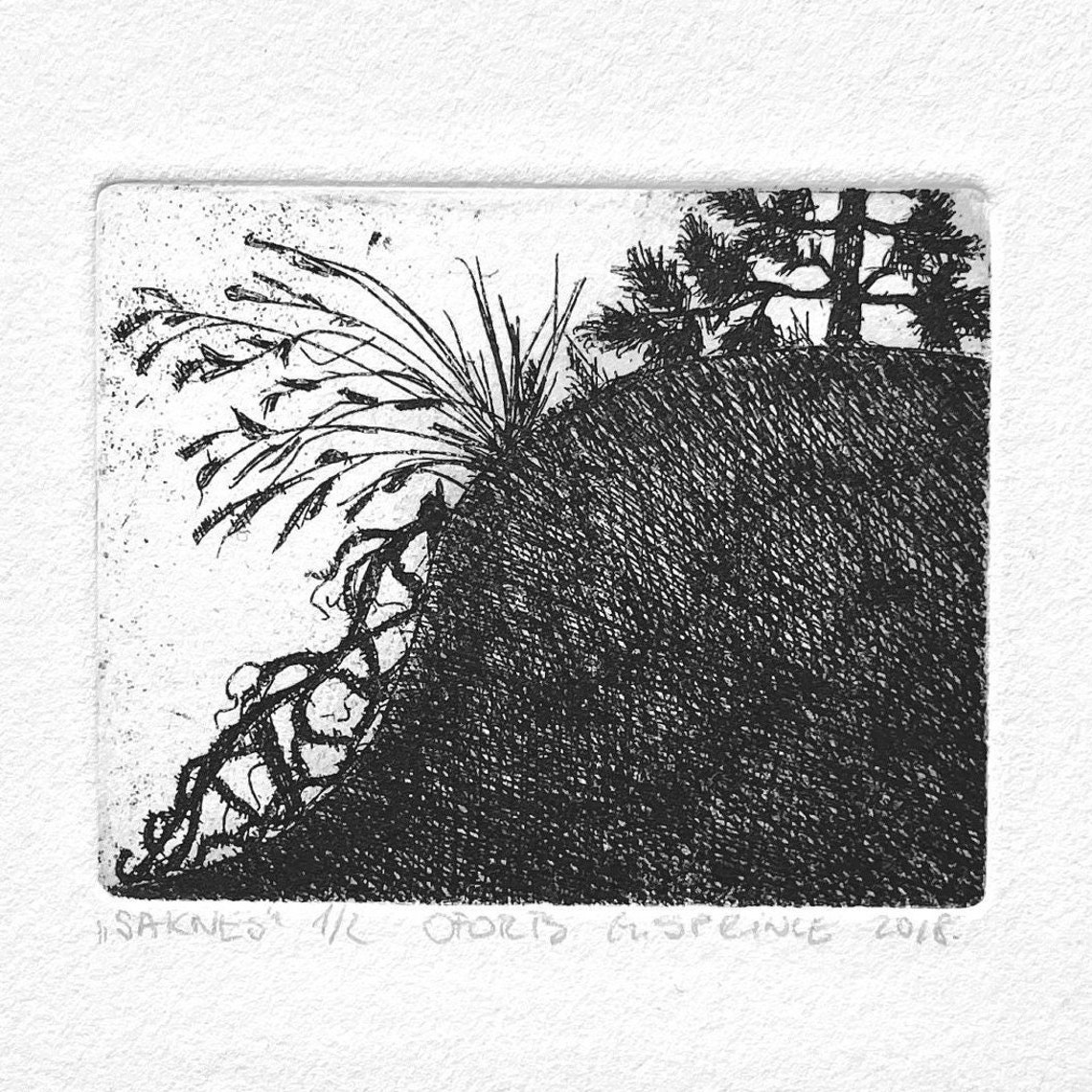 Windswept Hill with Pine Trees Black and White Etching Poster