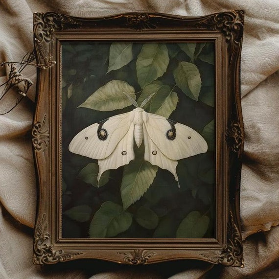 White Moth Moth Art Dark Academia Wall Art Moody Decor For Dorm Room White Butterfly Print Vintage Art Print Whimsigoth Art Gothic