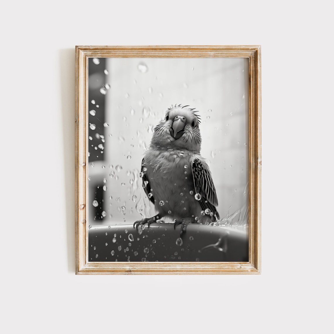 Budgie Parakeet Enjoying a Bath in Splashing Water Black White Poster