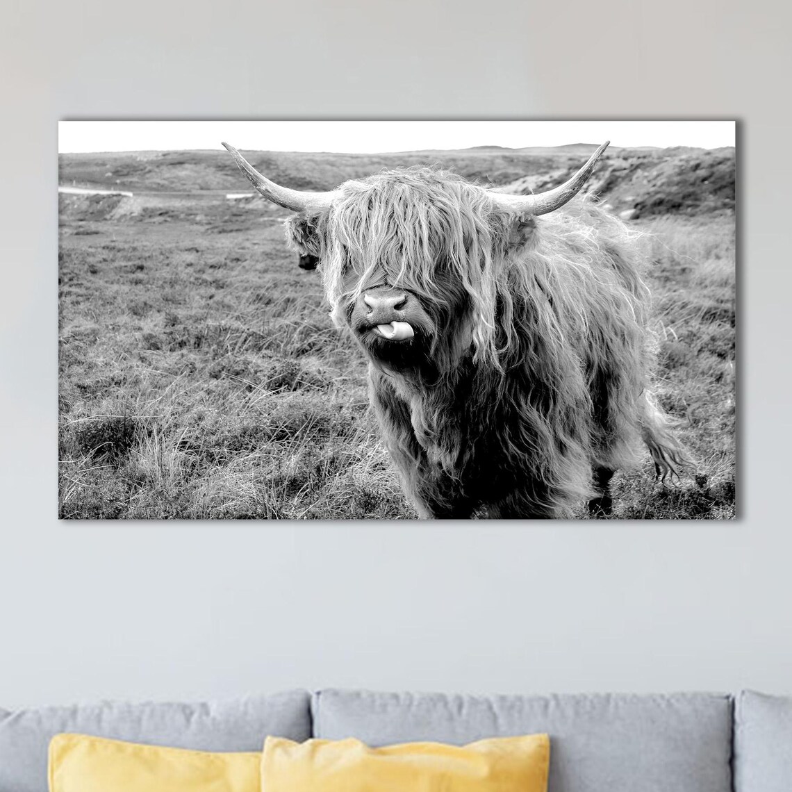Highland Cow with Tongue Out Black White Farmhouse Cattle Photo Poster