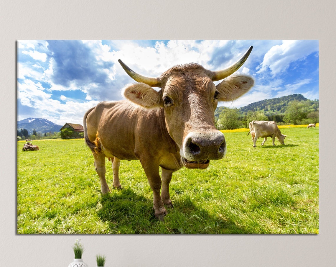 Funny Cow Close Up Happy Brown Cow Pasture Meadow Farm Poster