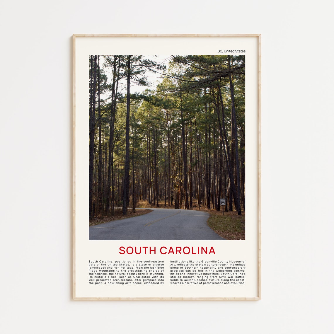South Carolina Print Film Photo South Carolina Wall Art South Carolina Poster South Carolina Photo South Carolina Poster Print Usa Art