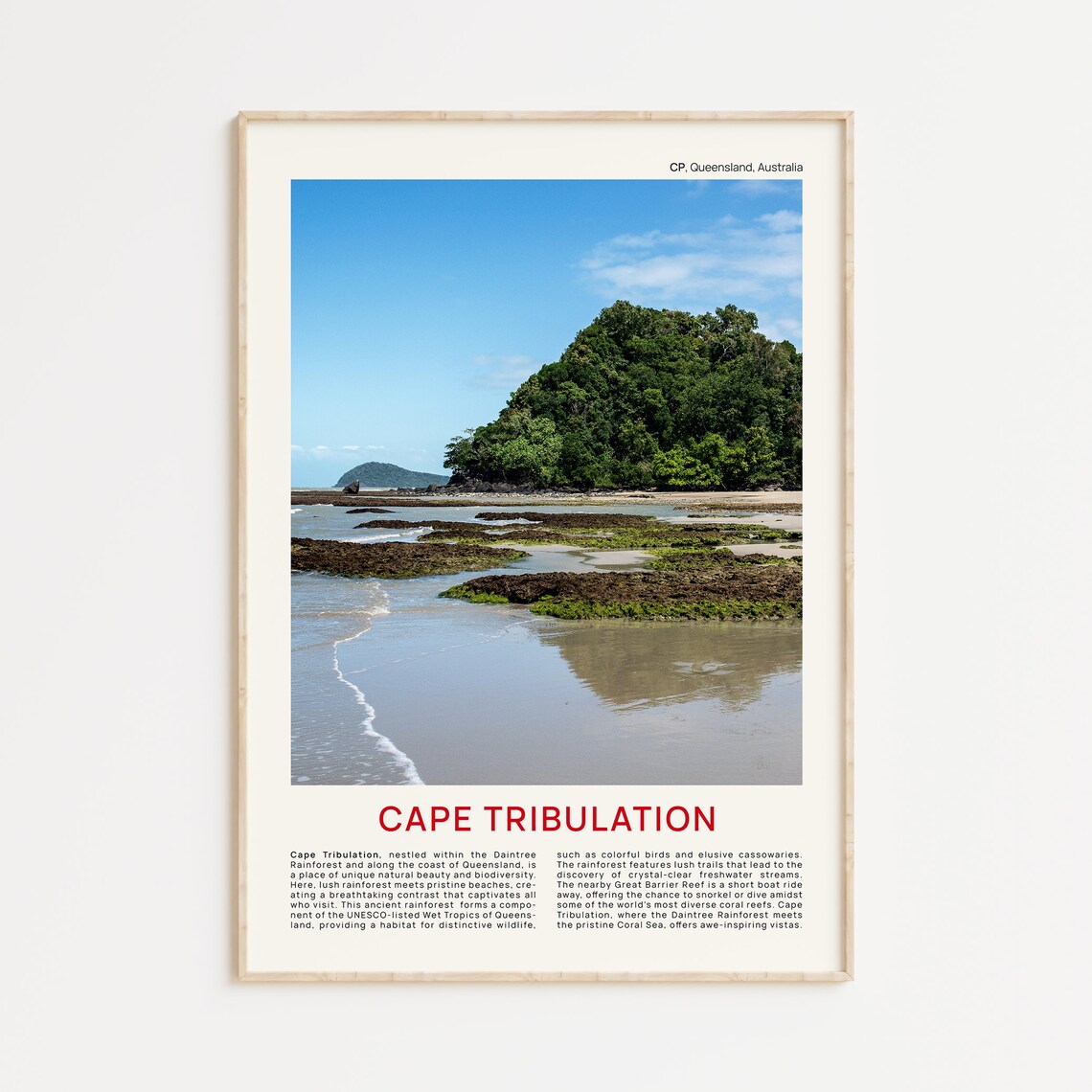 Cape Tribulation Queensland Rainforest Beach Film Photo Travel Poster