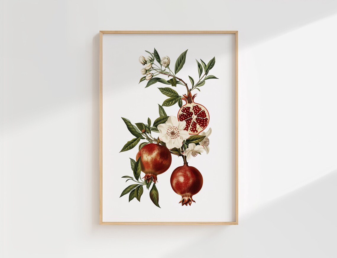 Pomegranate Vintage Botanical Illustration Fruits Blossoms Kitchen Poster