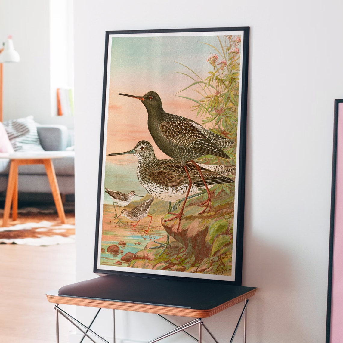 Spotted Redshanks Wading at Sunset Vintage Naturalist Shorebird Poster - Image 4
