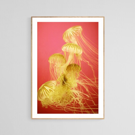 Jellyfish Ocean Art, Nautical Decor Poster Print