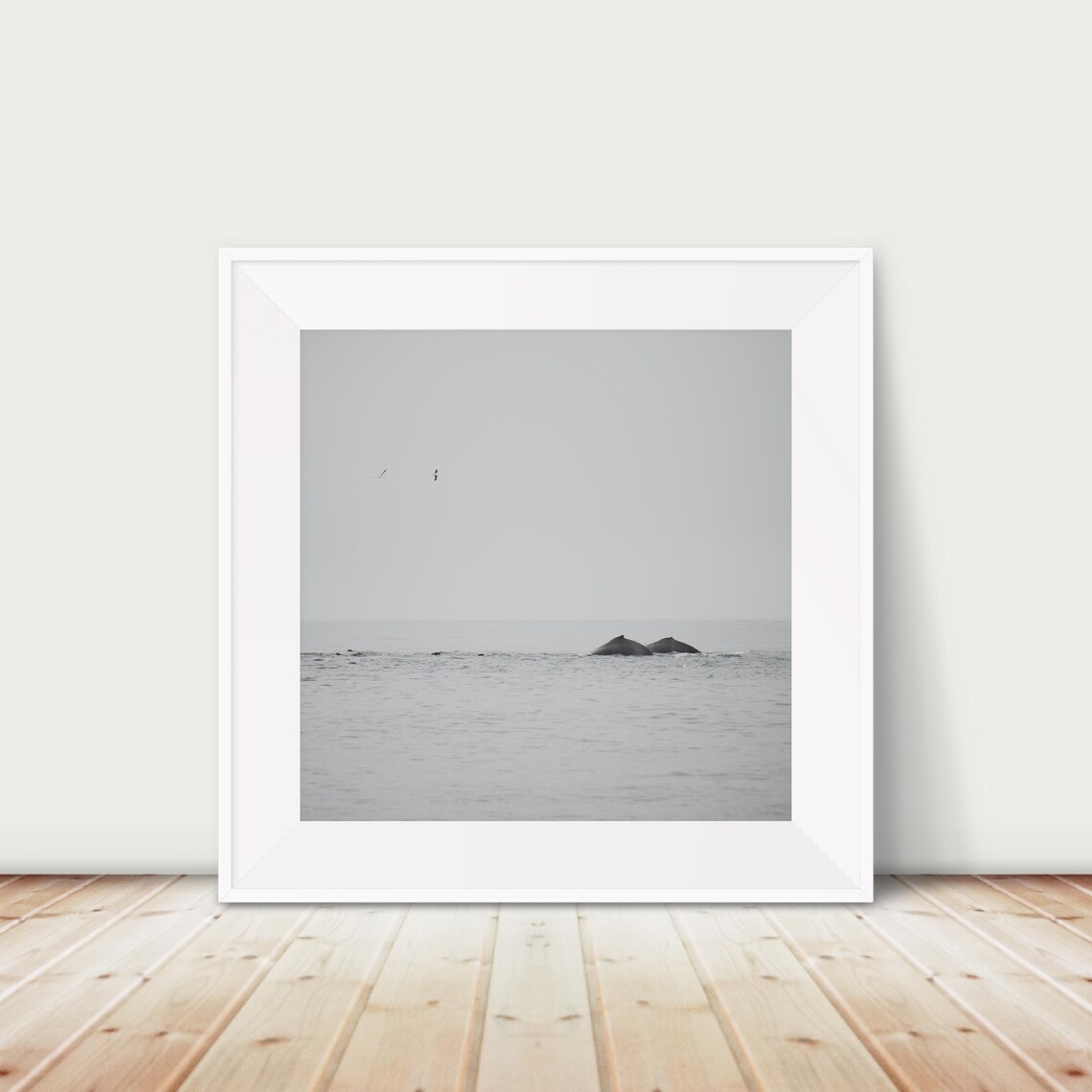 Blue Whale Photograph Pacific Ocean Animal Art Print