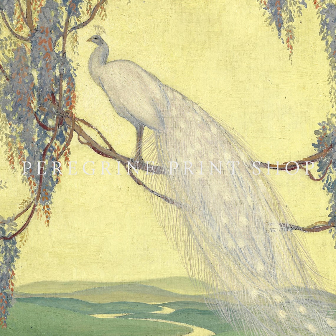 Jessie Arms Botke White Peacock Over River Vintage Fine Art Bird Print - Image 2