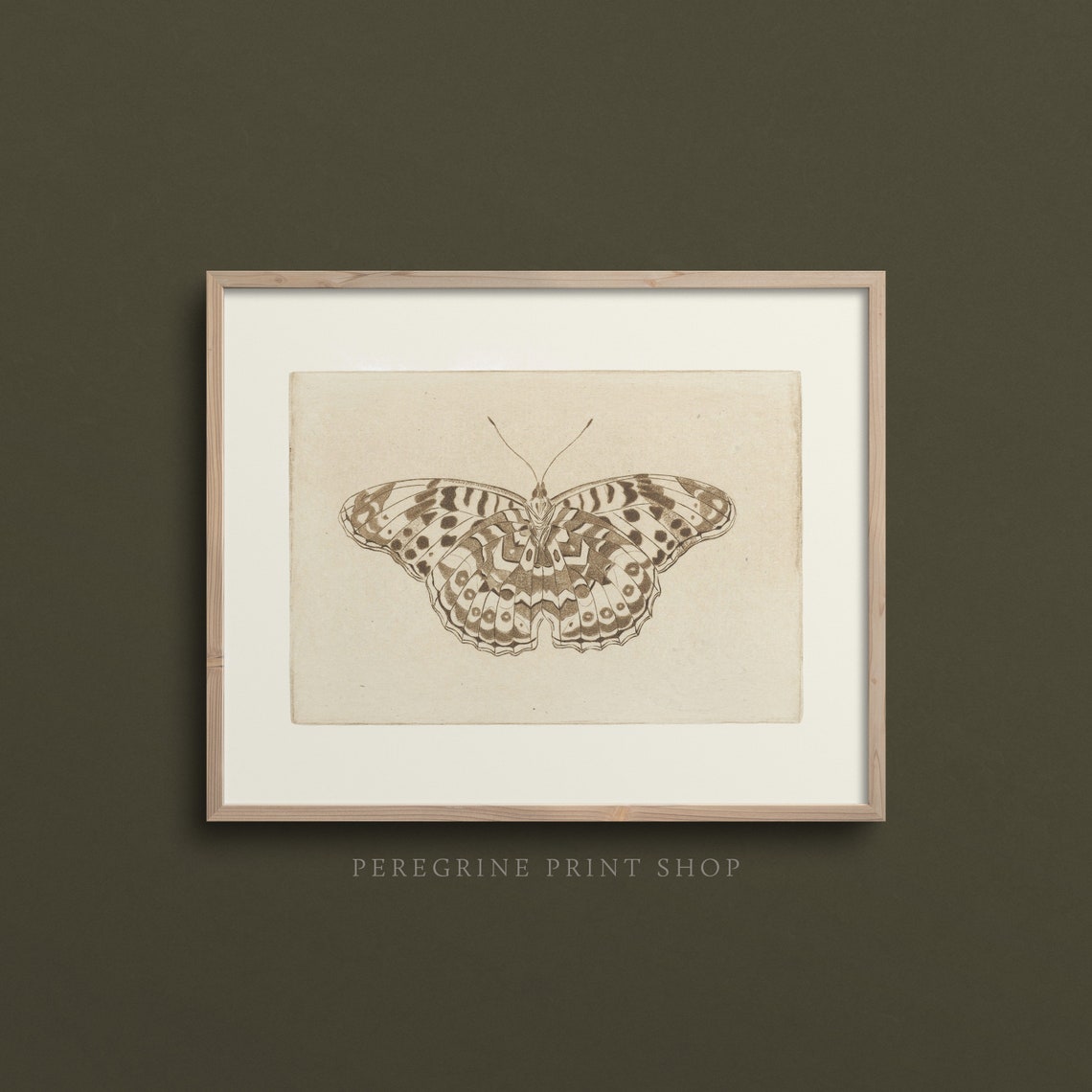 Butterfly Study Sepia Sketch Vintage Botanical Wall Art Print - Image 3