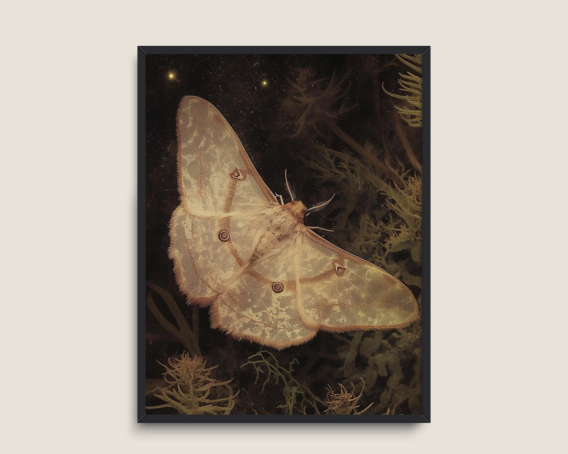 Dark Moth Vintage Butterfly Print Light Academia Decor Art Antique Moth Insect Art Moody Dark Prints - Image 3
