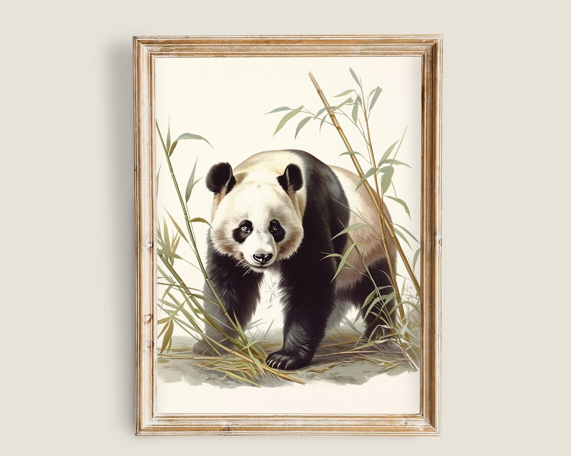 Giant Panda Bear Walking Among Bamboo Vintage Wildlife Art Poster