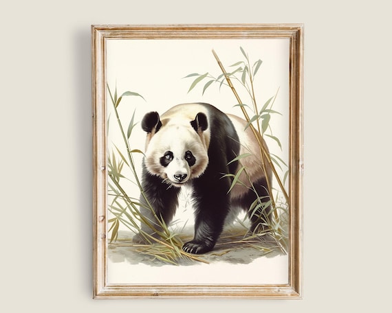 Giant Panda Bear Walking Among Bamboo Vintage Wildlife Art Poster