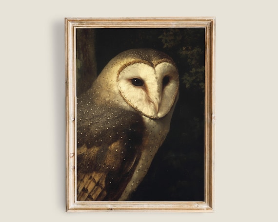 Vintage White Barn Owl Painting Dark And Moody Wall Art Dark Academia Decor Art Nature Animal Painting Snowy Owl Bird Prints