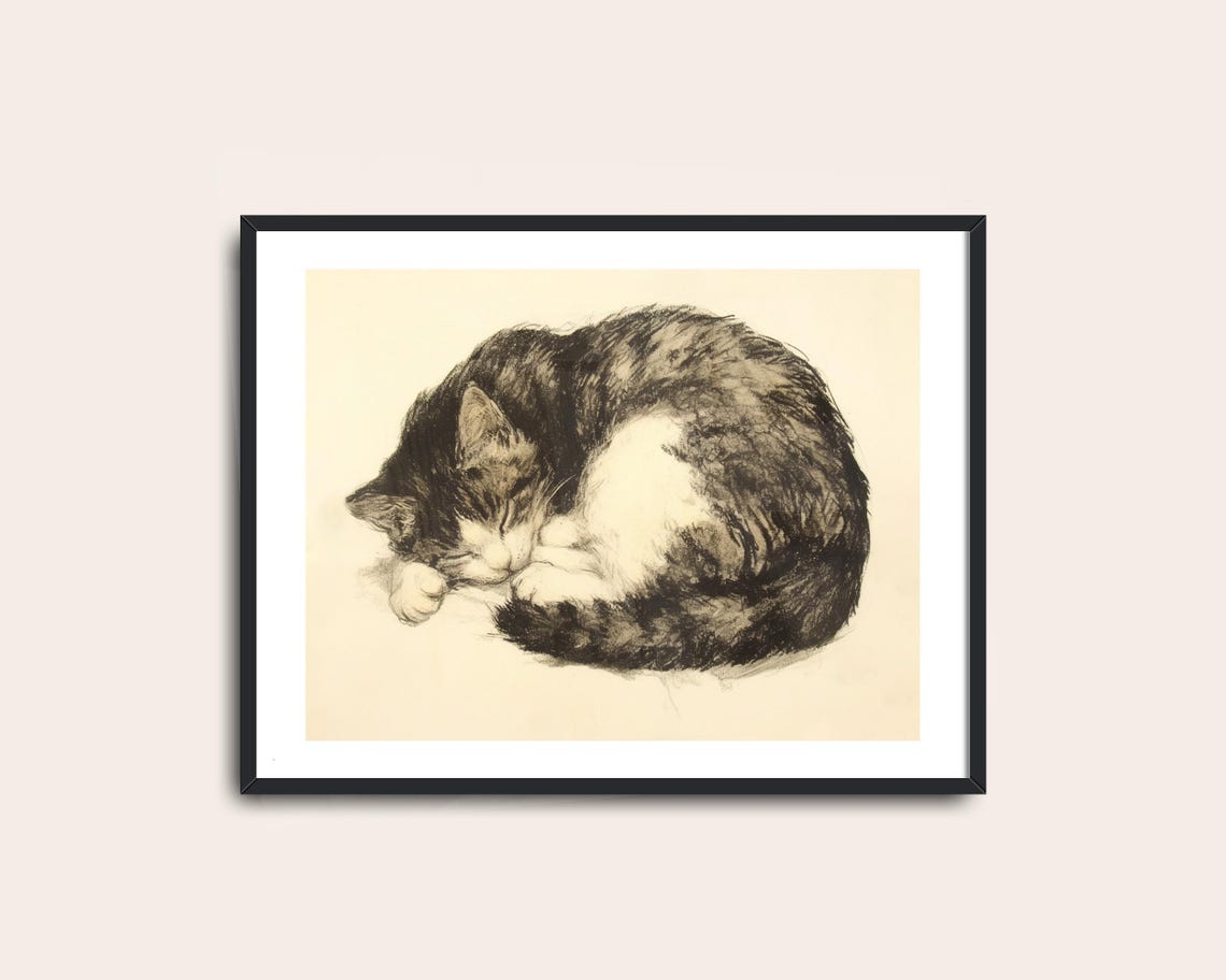 Sleeping Tabby Cat Curled Vintage Charcoal Sketch Wall Art Poster - Image 2