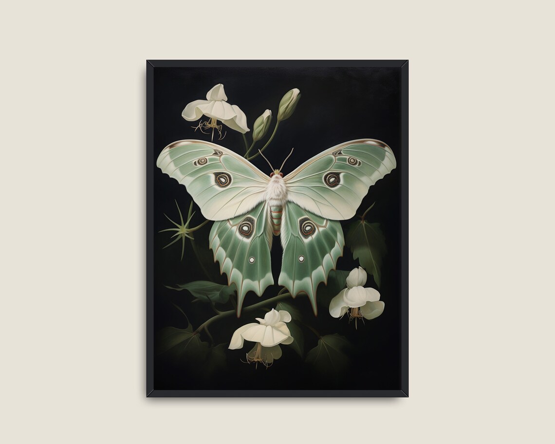 Green White Moth Victorian Vintage Art Print - Image 3