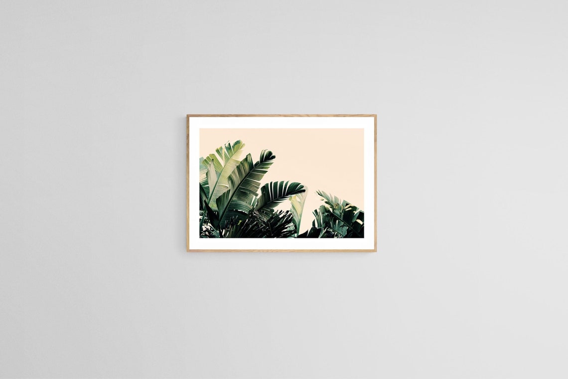 Tropical Palm Tree Print, Boho Botanical Art