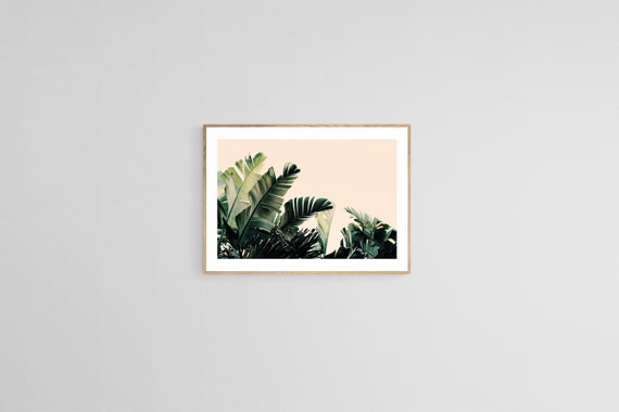 Tropical Palm Tree Print, Boho Botanical Art