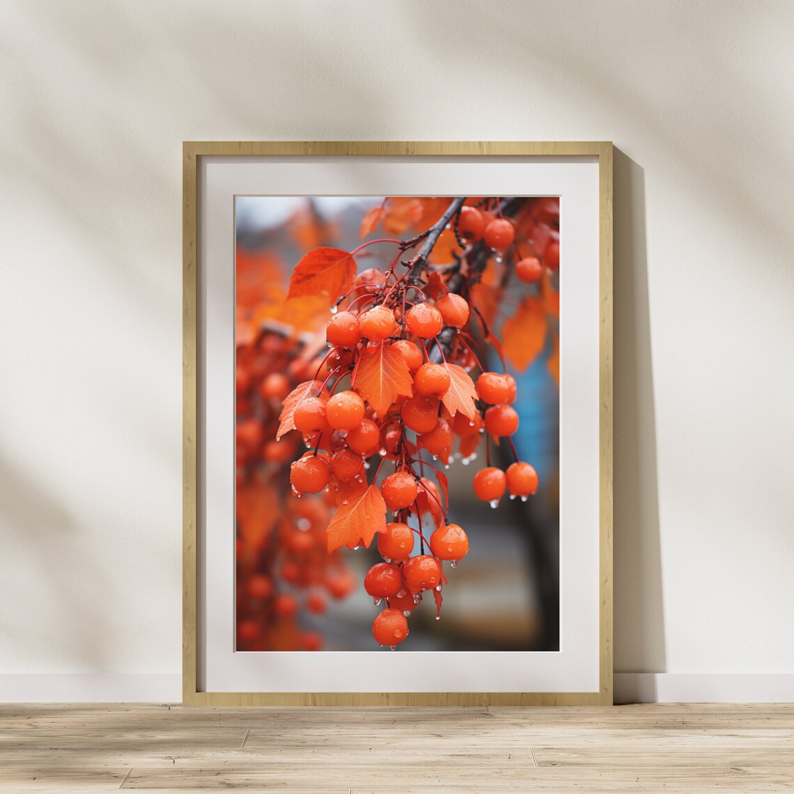 Dewy Orange Berry Cluster Close Up Autumn Leaves Rain Poster