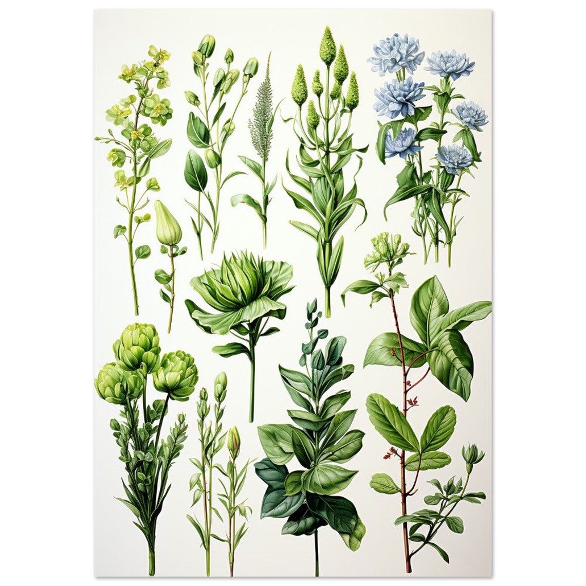 Vintage Botanical Herb Illustration Green Plants Cream Art Poster - Image 2